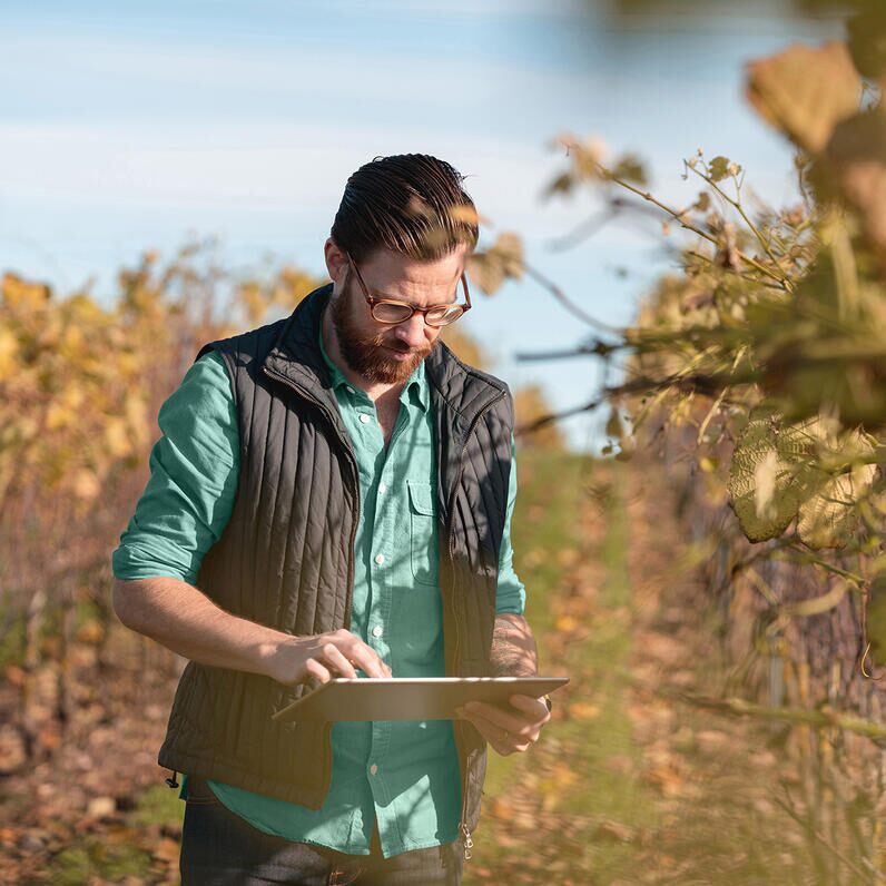 Our journey from startup to established bank